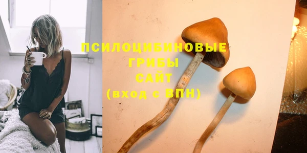 ешки Горнозаводск