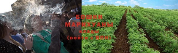 мяу мяу мука Горняк