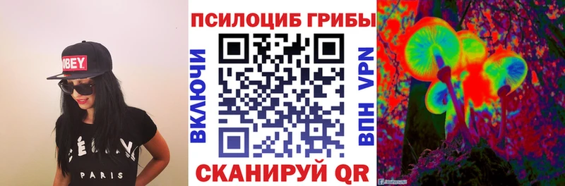Псилоцибиновые грибы прущие грибы  Гулькевичи 