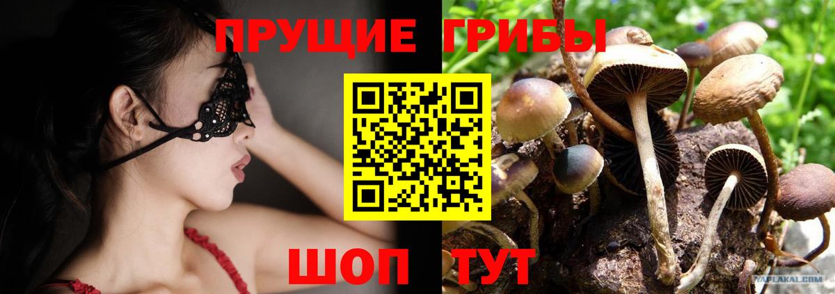 Гулькевичи  Псилоцибиновые грибы Psilocybe  Вход с VPN  Псилоцибиновые грибы мухоморы 