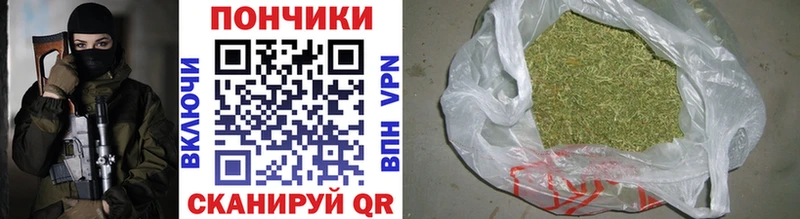 Шишки марихуана план Гулькевичи