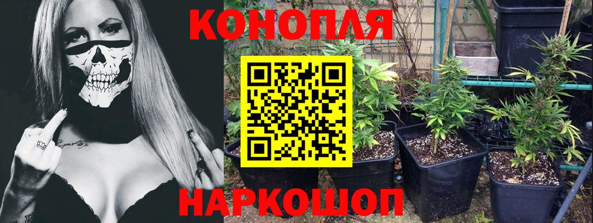 Бошки Шишки конопля  Вход с VPN  Бошки марихуана конопля  Марихуана White Widow  Гулькевичи  Каннабис конопля 
